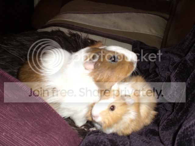 nov284.jpg