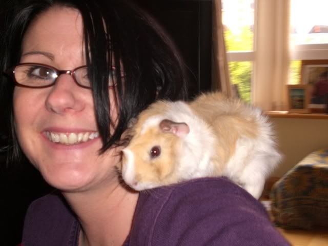 piggiesandtoys011.jpg