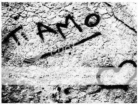 tiamo2.jpg Ti Amo 3 image by paaamelaaa