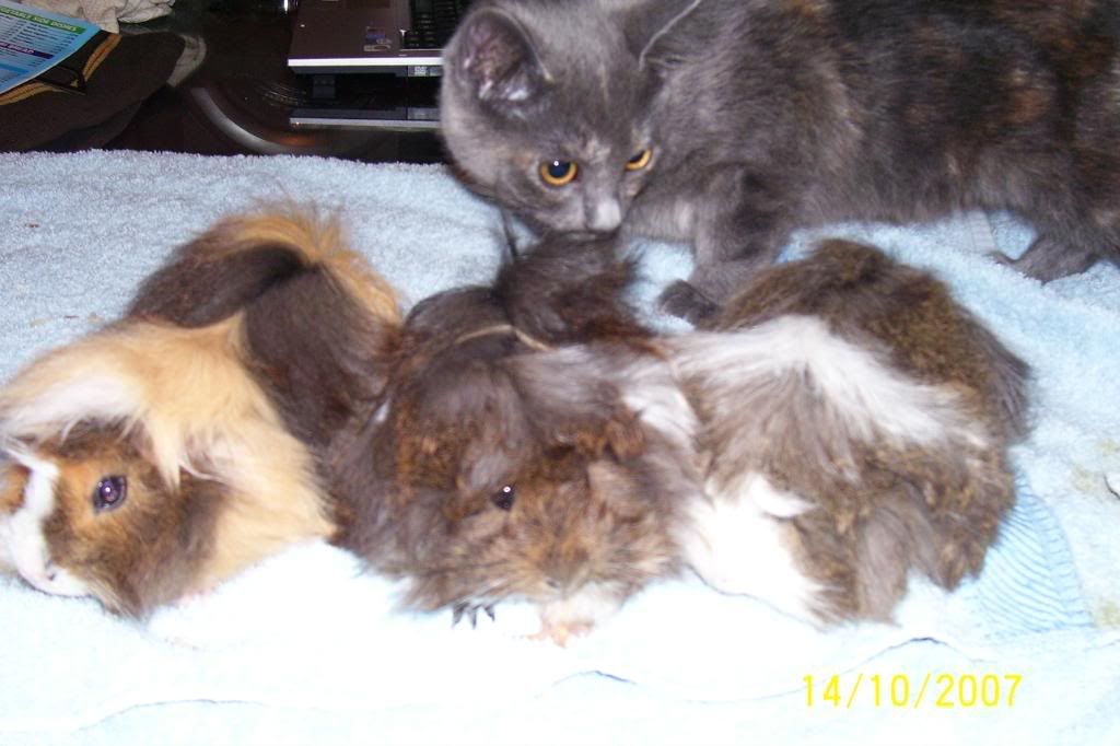 100_1642.jpg