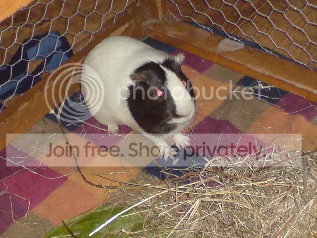 DSC00070.jpg