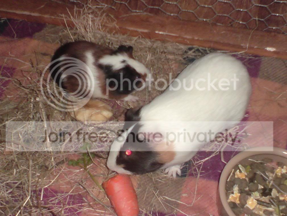 DSC00072.jpg