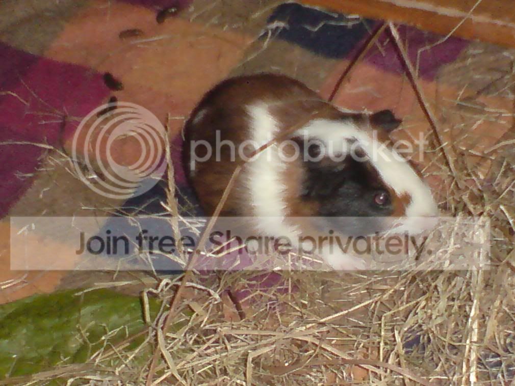 DSC00073.jpg