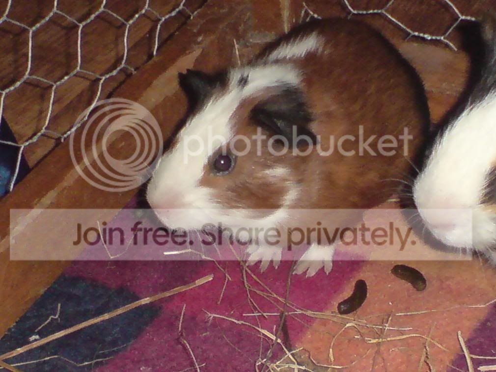 DSC00074.jpg