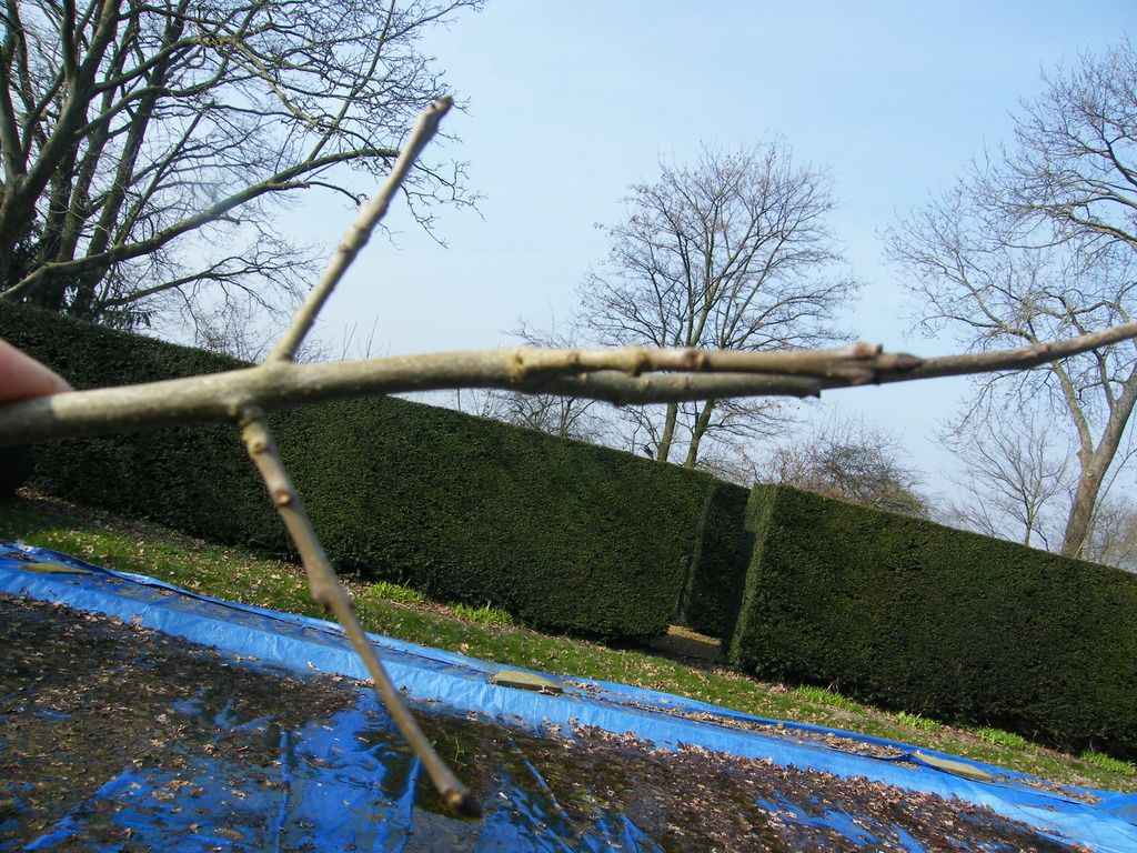 DSCF5814_zpse6ck7qoj.jpg