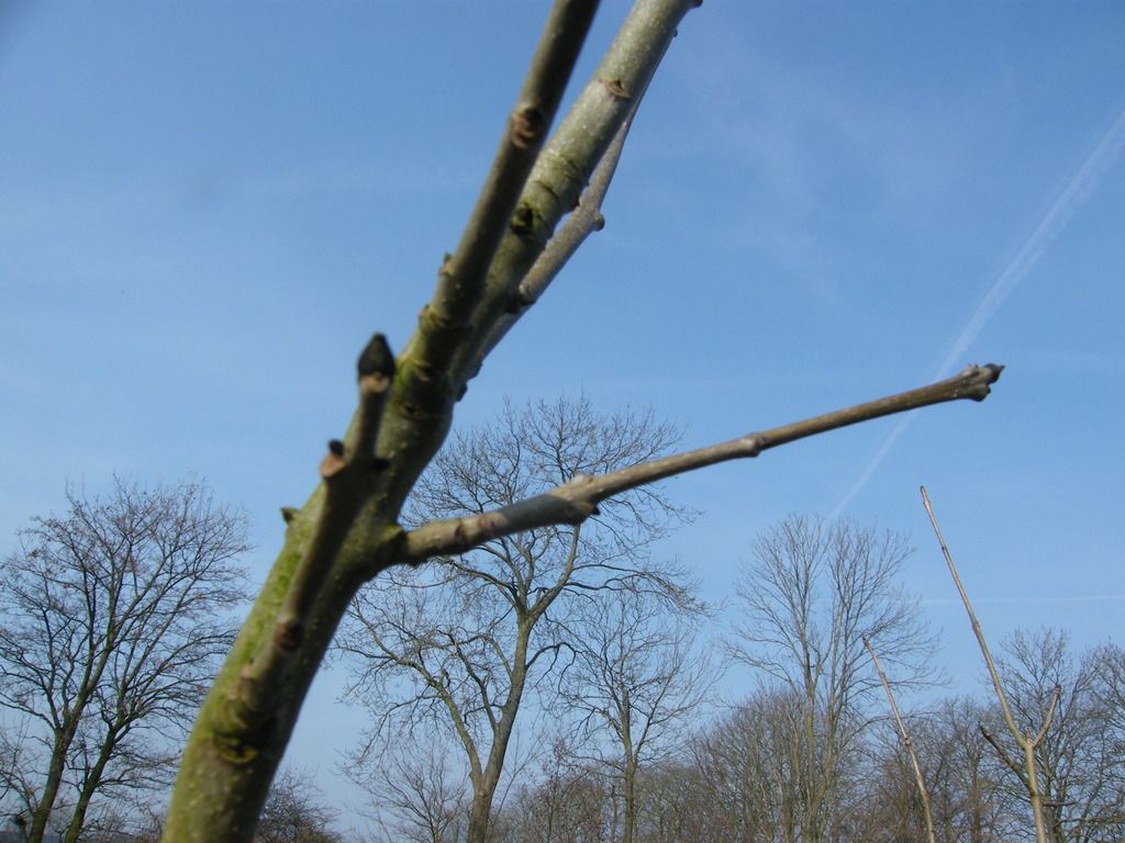 DSCF5816_zpshxizamjd.jpg