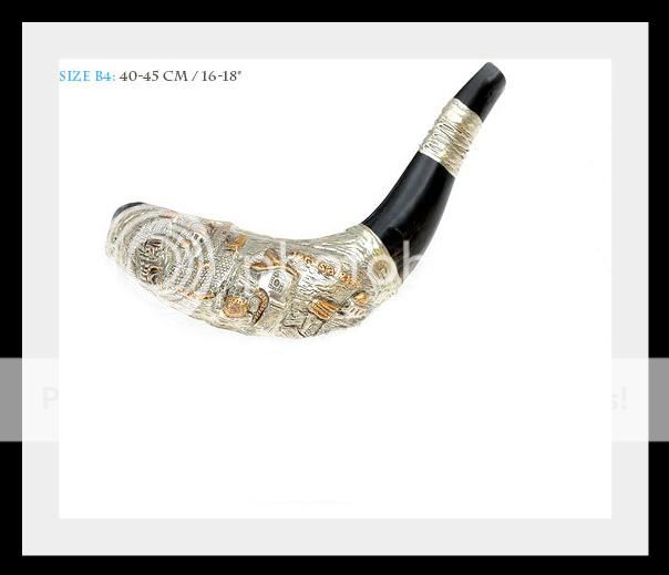 Special New Silver Rams Horn Shofar 40 to 45 Cm Plus Bag Judaica Israel
