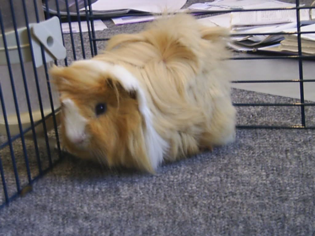 PIC_0029.jpg