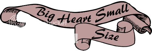 Big%20Heart%20Small%20Size%20Banner_zpsd08tdxzb.png