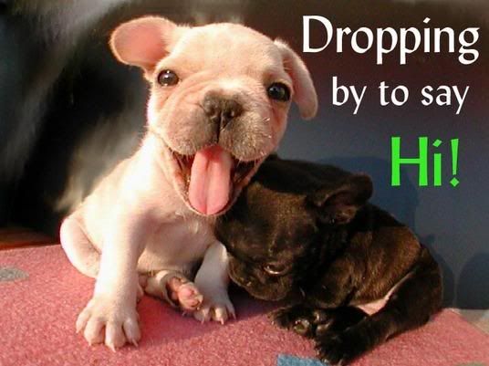 hello_cute_puppies.jpg