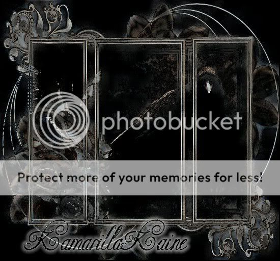 Photo Sharing and Video Hosting at Photobucket