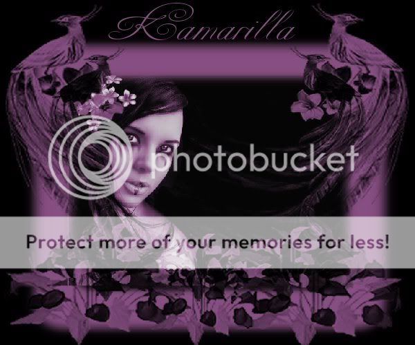 Photo Sharing and Video Hosting at Photobucket